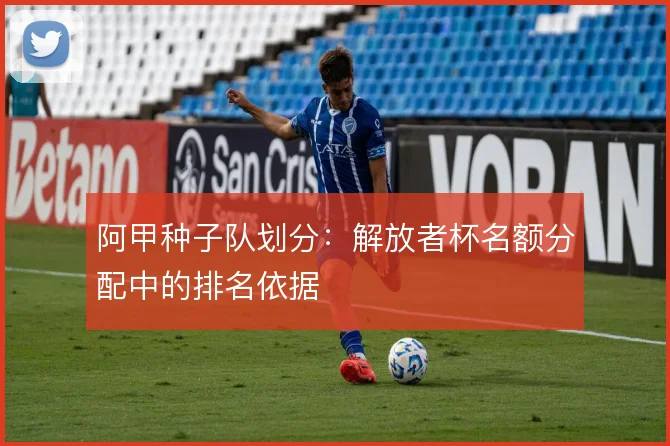 阿甲种子队划分:解放者杯名额分配中的排名依据