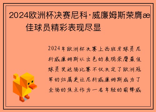 2024欧洲杯决赛尼科·威廉姆斯荣膺最佳球员精彩表现尽显